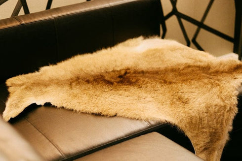 Roo Skins